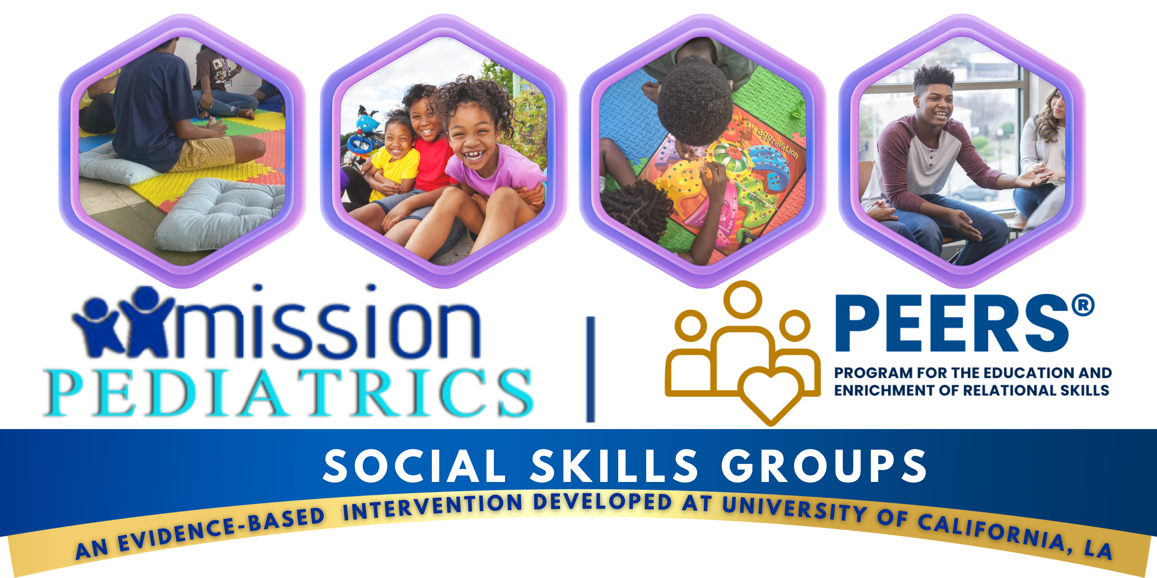 Website Pic of Mission PEERS Banner.png